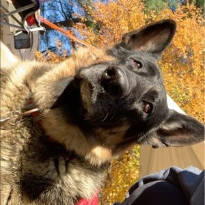 Meet your Posher, Delaney